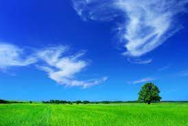 Piano d’intervento operativo per il miglioramento della qualità dell’aria: misure strutturali e temporanee di limitazione delle emissioni.