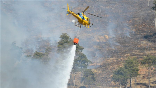 Dichiarazione stato di massima pericolosità per gli incendi boschivi su tutto il territorio regionale a partire da mercoledì 8 luglio 2026